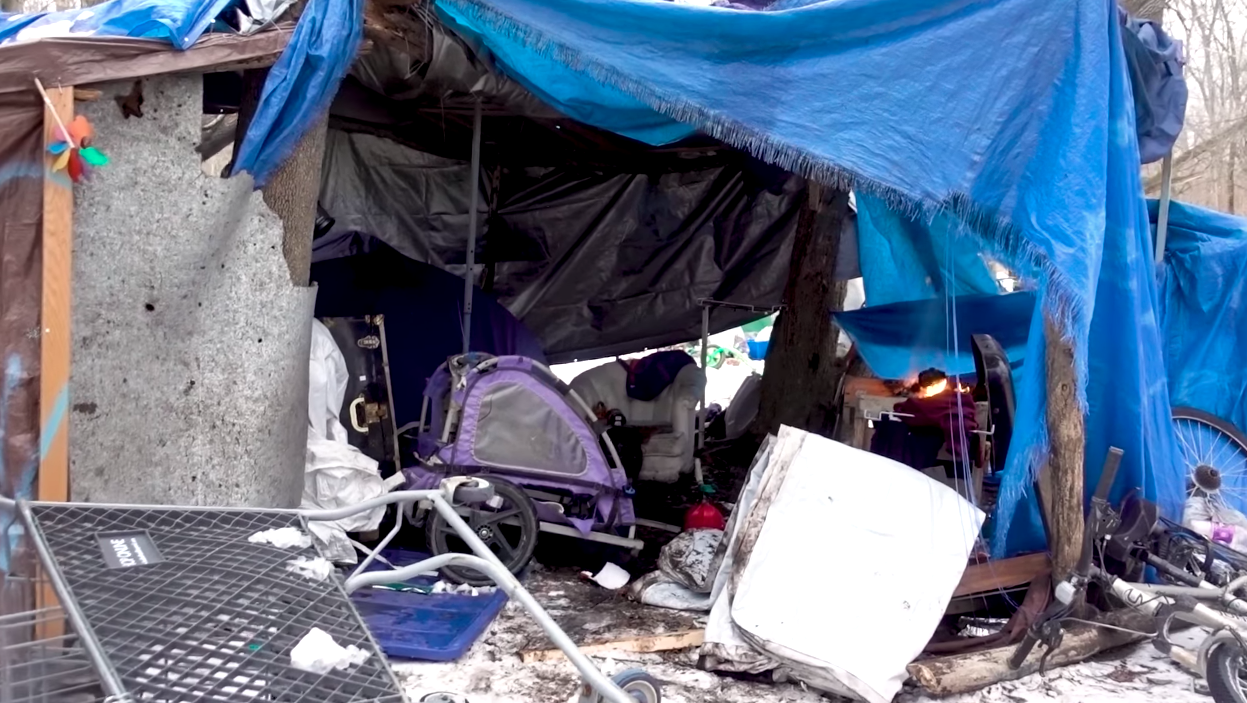 An image of a tent in Ithaca's Jungle.